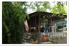 External image